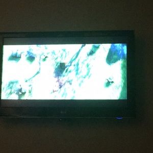 Meet your Posher, Lily